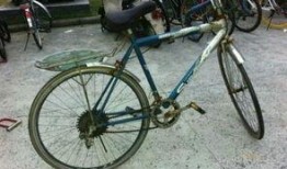 郑州自行车爆料视频最新,揭秘城市交通新现象